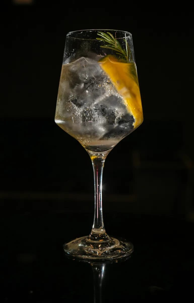 Gin tônica em taça, com laranja e alecrim